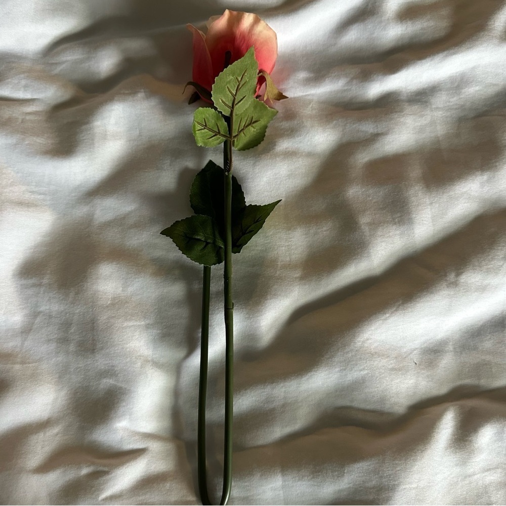 Pink Decorative Rose